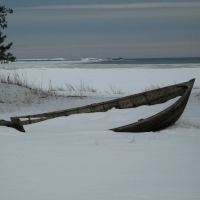 Bungeviken. Foto: Arne Eklund