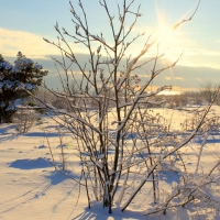 Bungenäs. Foto: Arne Eklund